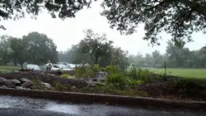 Giardino sotto la pioggia con aiuole, piante e pozzanghere d'acqua