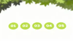 Cinque cerchi verdi numerati su sfondo chiaro con foglie nella parte superiore