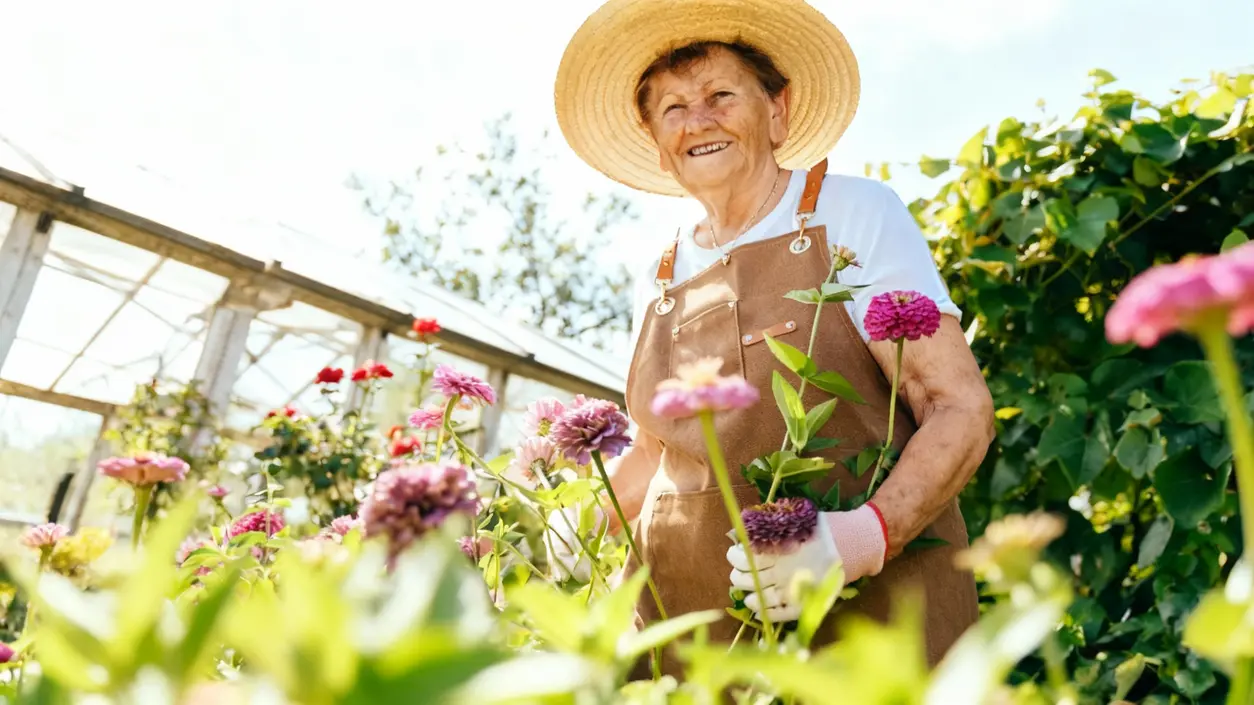 Persona anziana con cappello di paglia che cura fiori in un giardino soleggiato