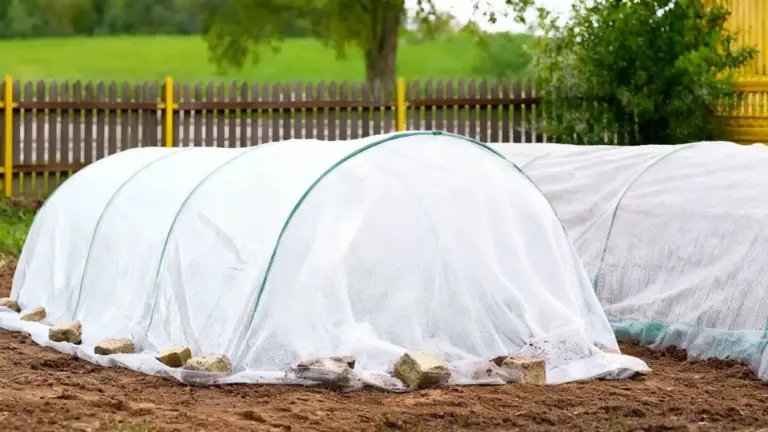 Tunnel da giardino coperto con telo protettivo per proteggere le piante dal gelo