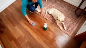 Persona pulisce il pavimento accanto a un cane in casa su un tappeto