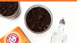 Barattoli con terriccio, una bottiglia di aceto e una confezione di bicarbonato su sfondo bianco